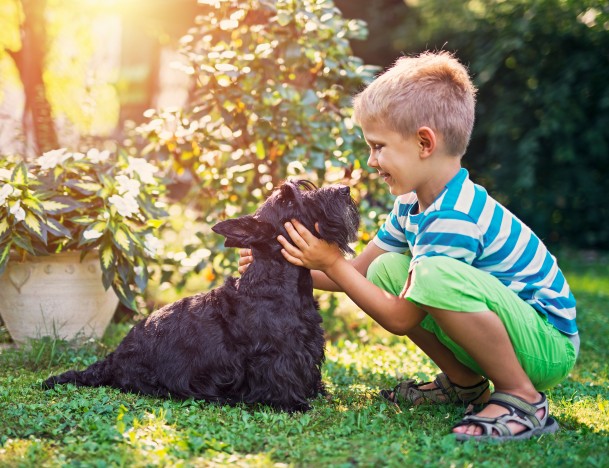 Kleiner Junge streichelt im Garten seinen Hund