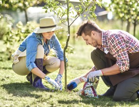 Ein Mann und eine Frau pflanzen einen Apfelbaum im Garten – Symbolbild für eine Basisrente